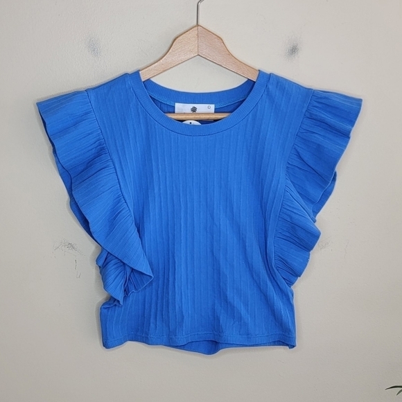 NWT Everyday Chic Boutique | Blue Cropped Ruffle Open Back Top - Picture 1 of 6